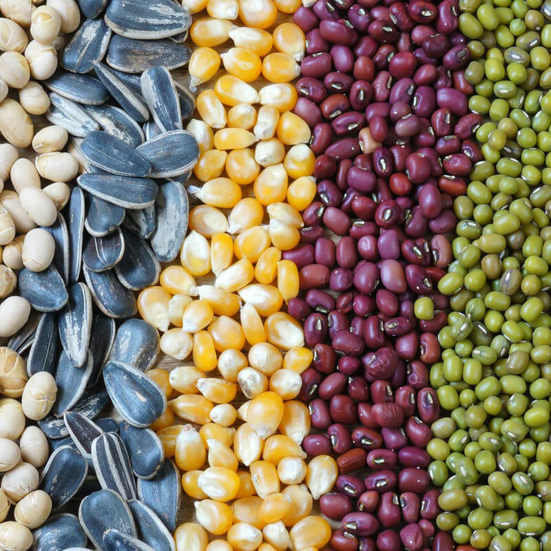 Sjálfvirk fræpökkunarvél